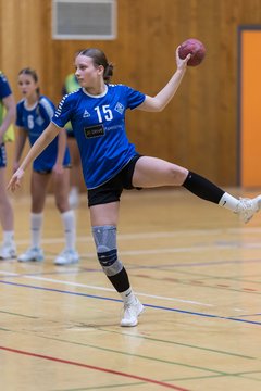 Bild 94 - wBJ TSV Ellerau - HSG Stoertal Hummeln : Ergebnis: 26:19